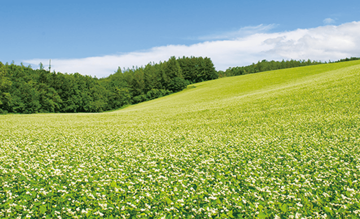 北海道の農業と観光を応援します